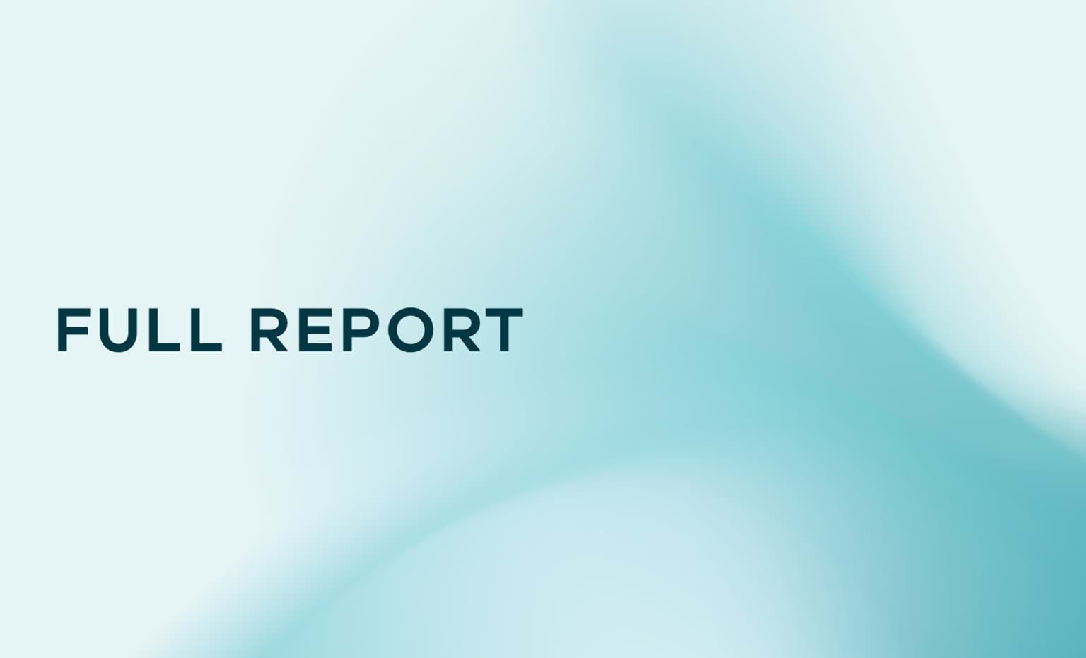 Full Report