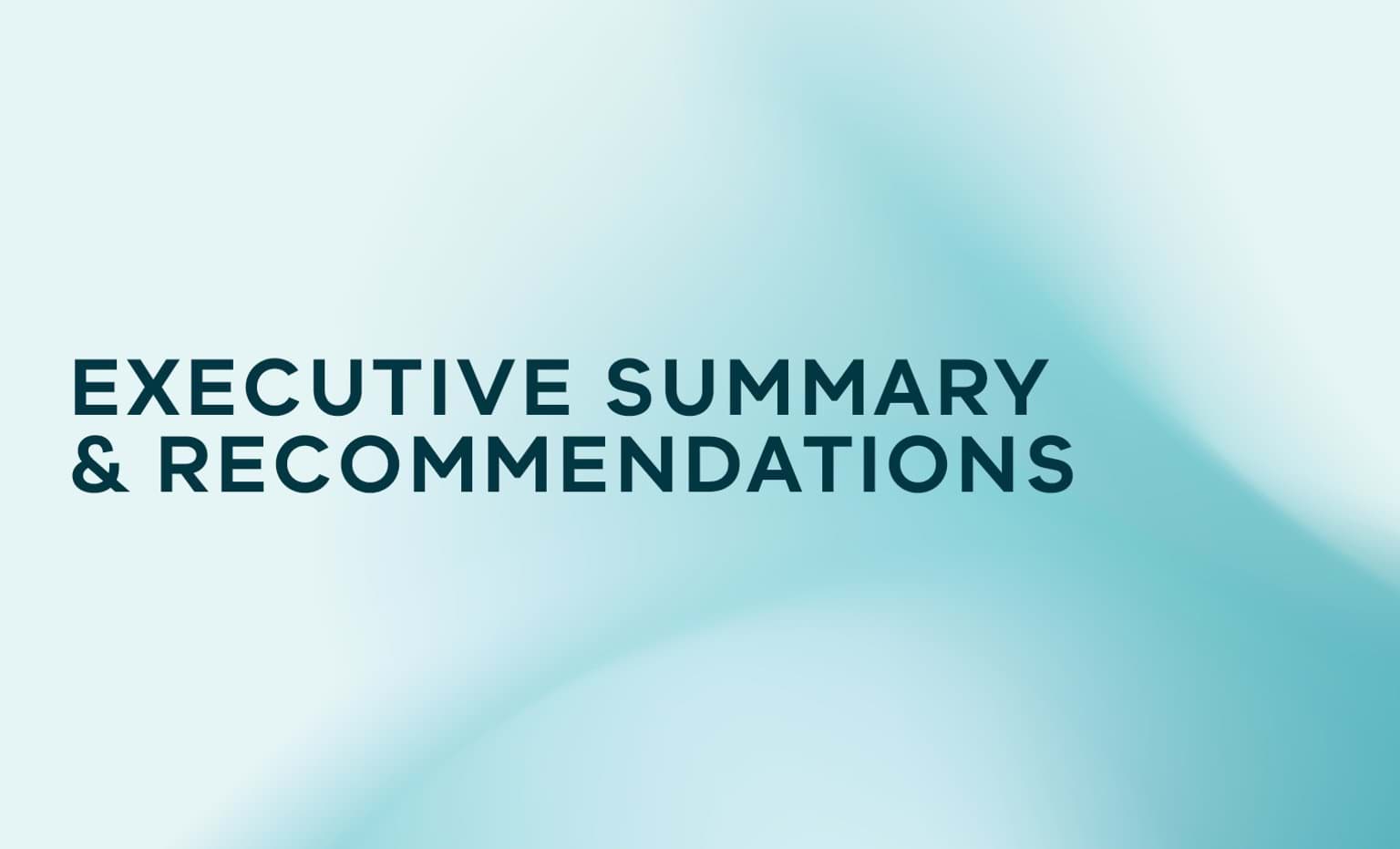 Executive Summary and Recommendations